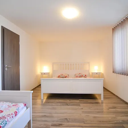 Zajecak Zajeci
